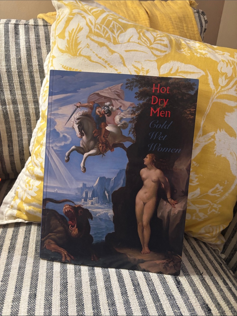 Hot Dry Men Cold Wet Women exhibition art book